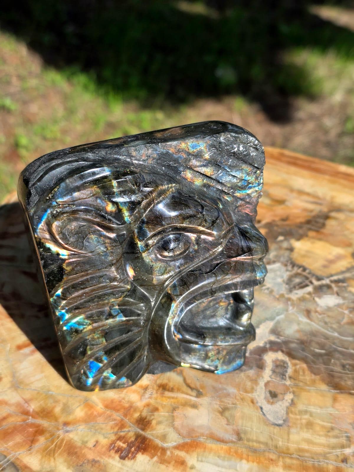 Rainbow Labradorite Lion Crystal Carving Freeform | 1.16kg