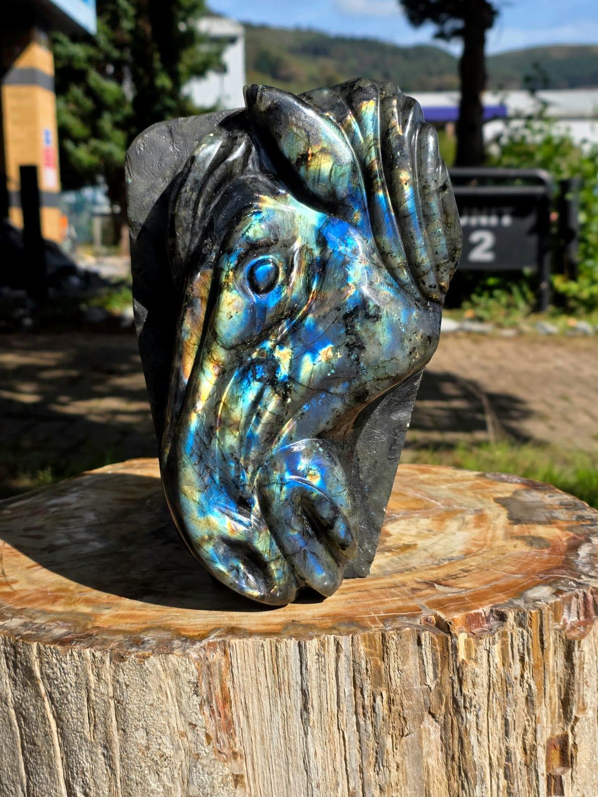 Large Labradorite Horse Crystal Carving  | 5.95kg Equestrian Gift