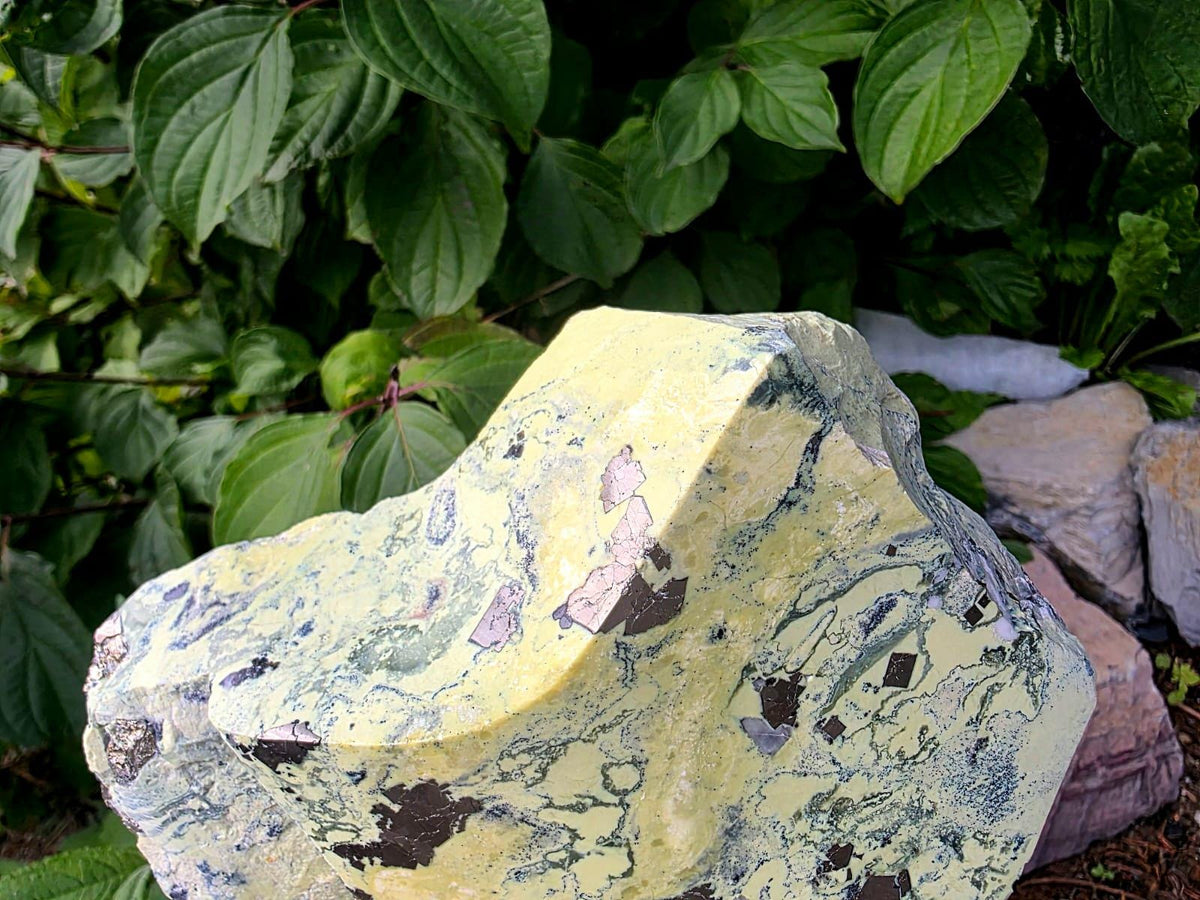 XL Healerite / Green Serpentine with pyrite | 2.13kg