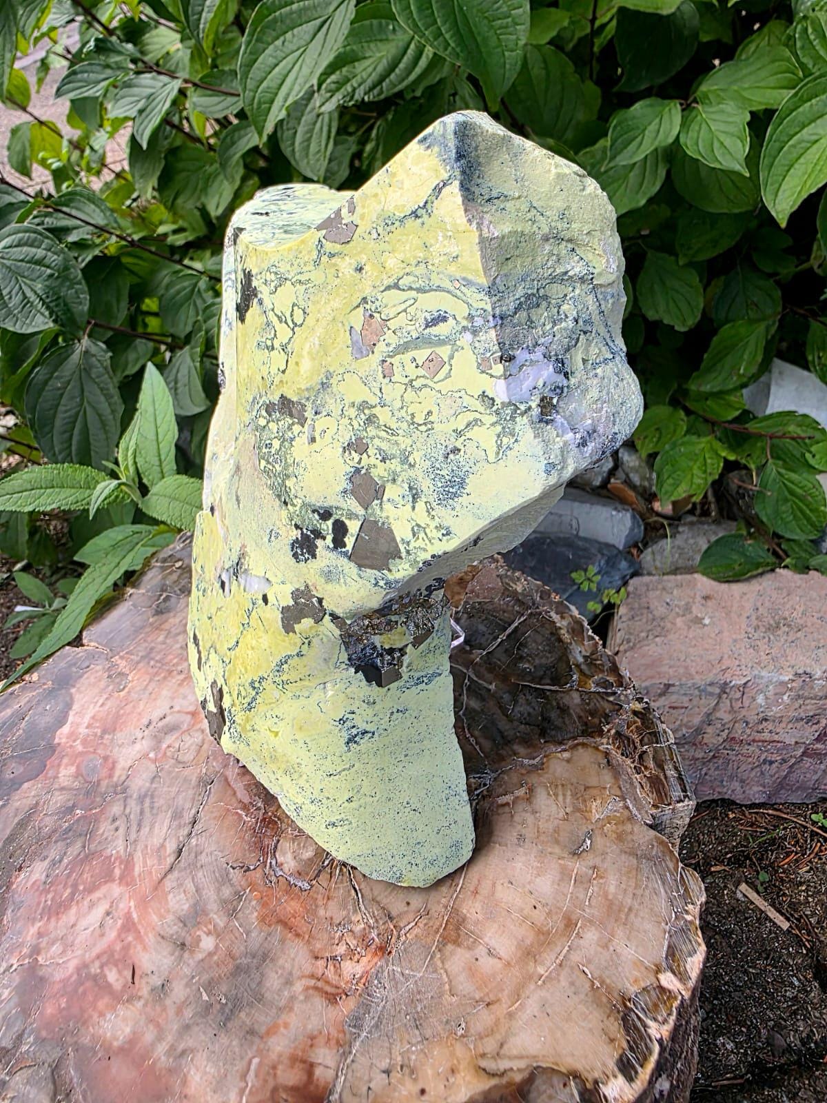 XL Healerite / Green Serpentine with pyrite | 2.13kg