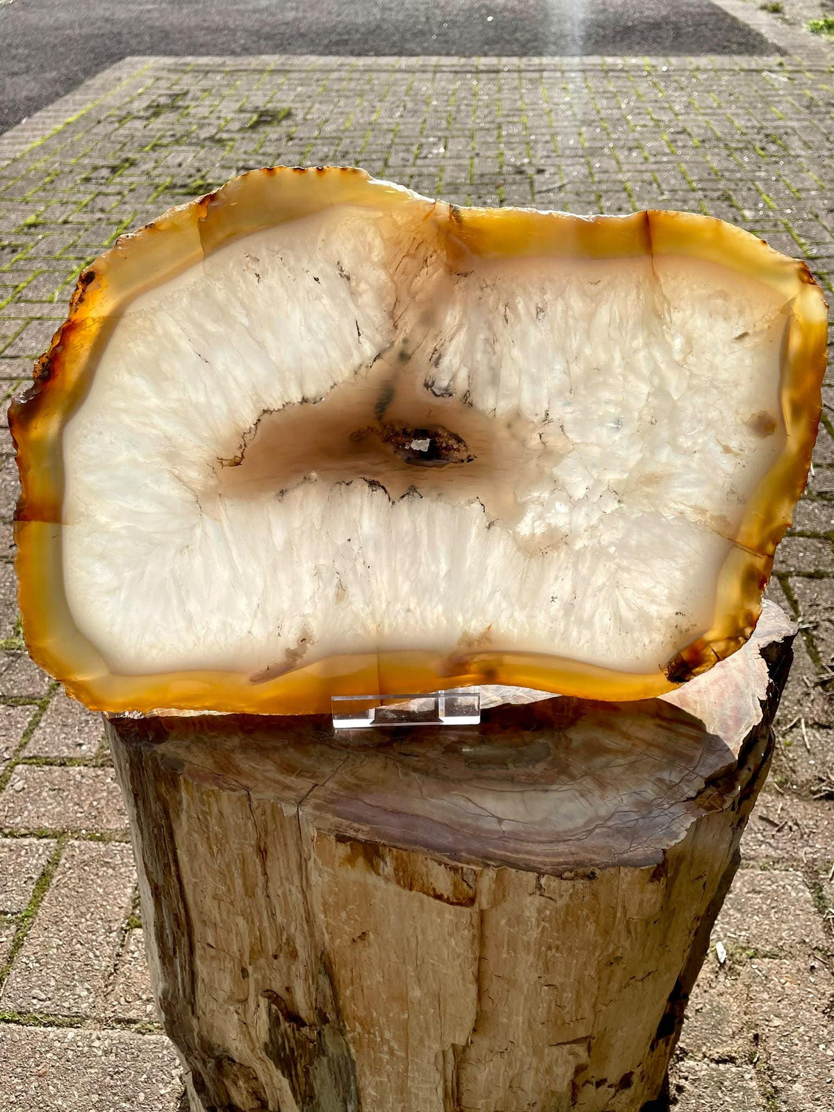 XL Natural Agate Crystal Slice | 5.15kg Statement Table Centrepiece
