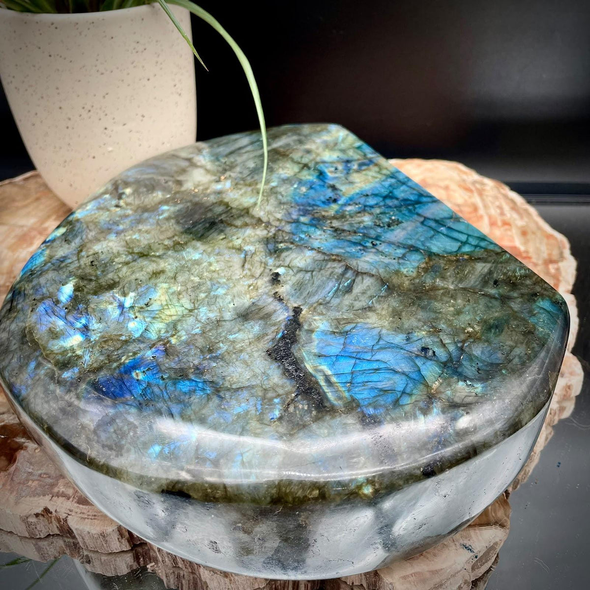 XL Labradorite Crystal Freeform 5.89kg | Polished Display Stone #91