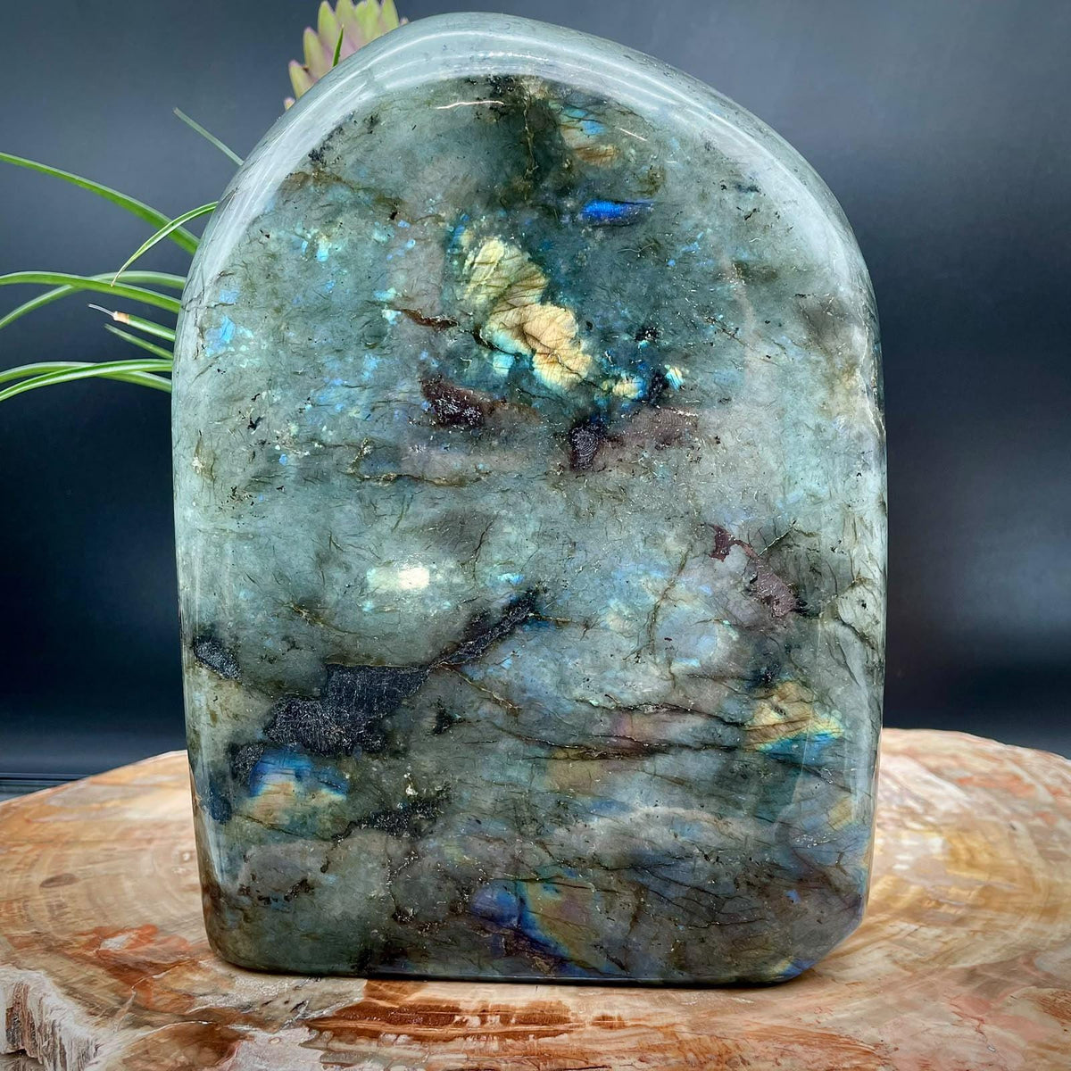 XL Labradorite Crystal Freeform 5.34kg | Polished Display Stone #90