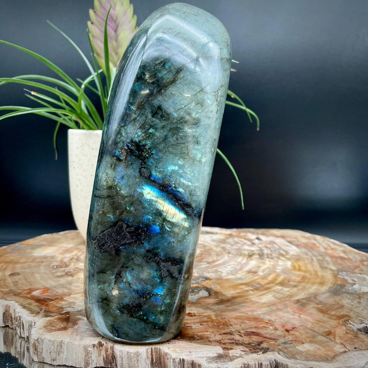XL Labradorite Crystal Freeform 5.34kg | Polished Display Stone #90