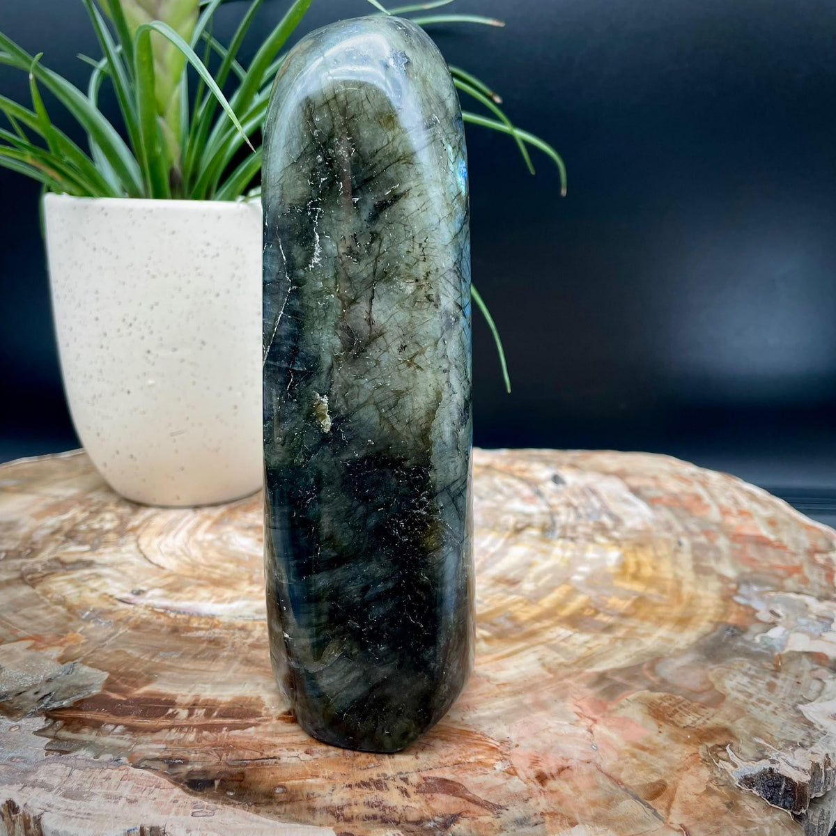 Labradorite Crystal Freeform 2.14kg | Polished Display Stone #13