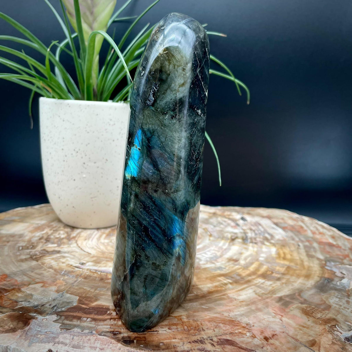Labradorite Crystal Freeform 2.14kg | Polished Display Stone #13