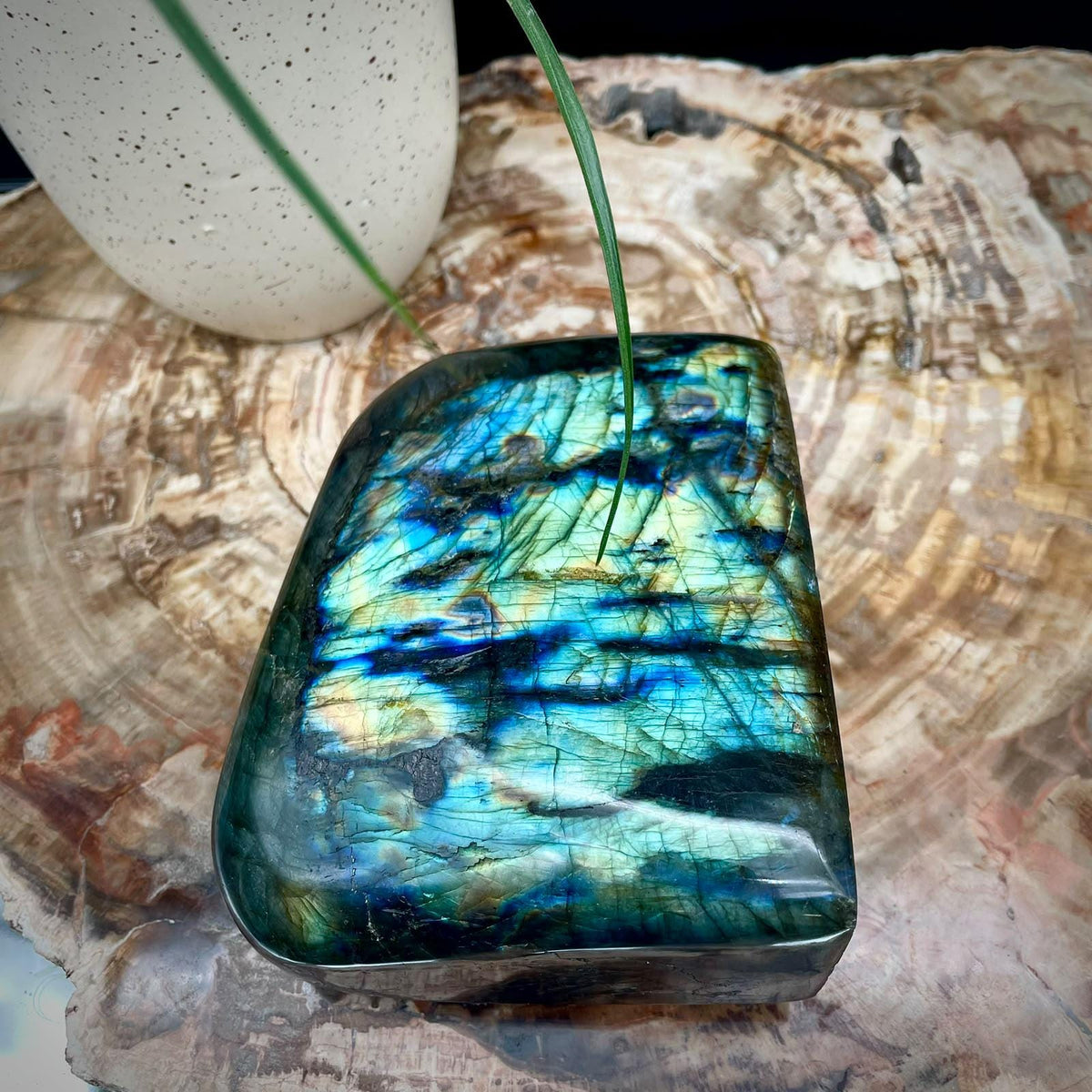 Labradorite Crystal Freeform 1.52kg | Polished Display Stone #5