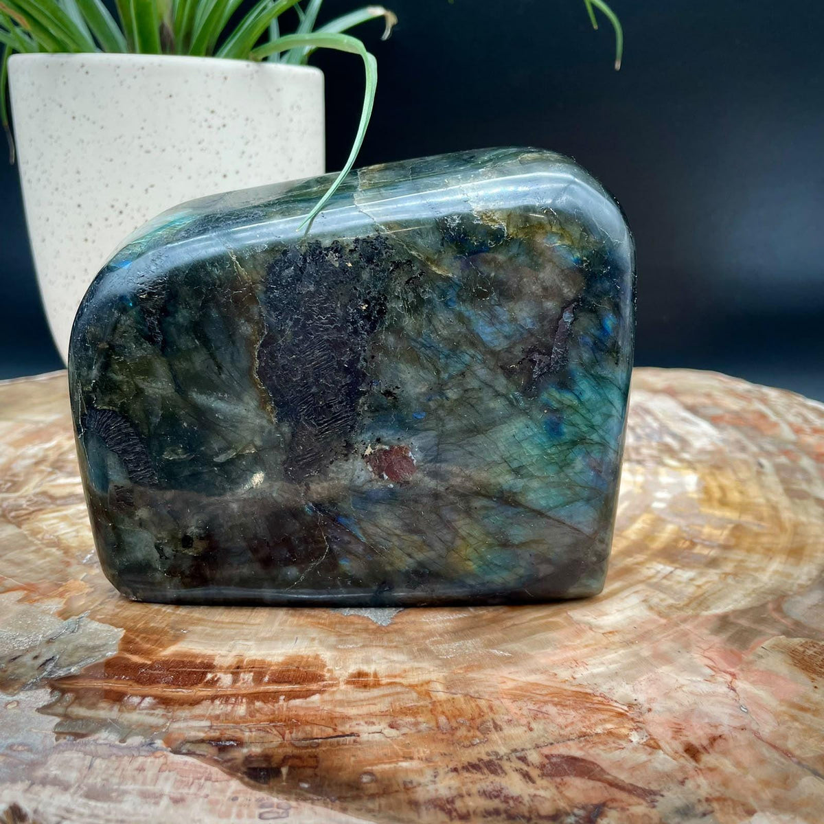 Labradorite Crystal Freeform 1.52kg | Polished Display Stone #5