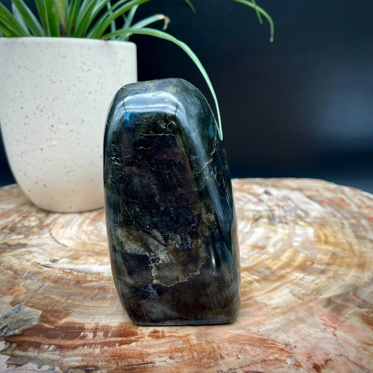 Labradorite Crystal Freeform 1.52kg | Polished Display Stone #5