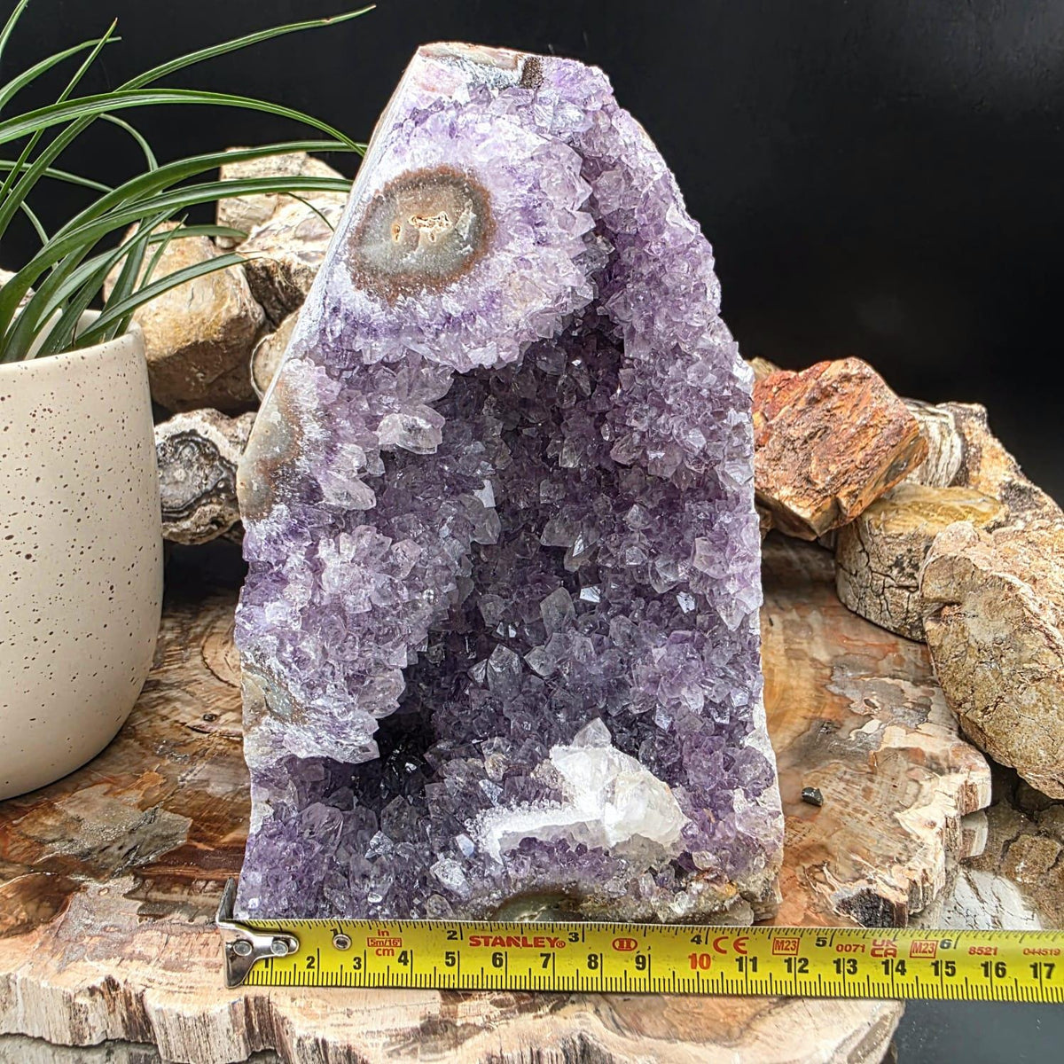 Large  Amethyst Crystal Geode Cutbase | Freestanding Crystal Display | ACB5