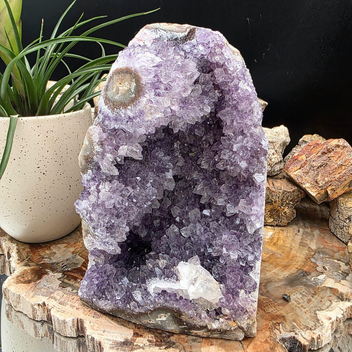 Large  Amethyst Crystal Geode Cutbase | Freestanding Crystal Display | ACB5