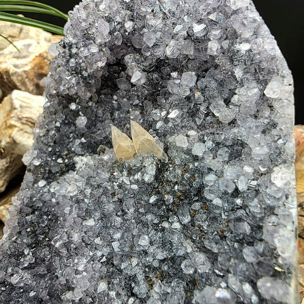 Large Black Amethyst Crystal Geode Cutbase | Freestanding Crystal Display | ACB3