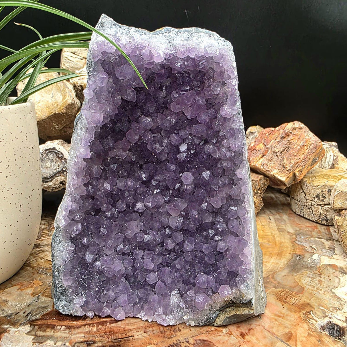 Large Amethyst Crystal Geode Cutbase | Freestanding Crystal Display | ACB2