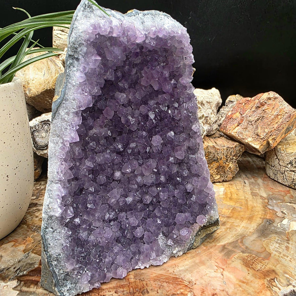 Large Amethyst Crystal Geode Cutbase | Freestanding Crystal Display | ACB2