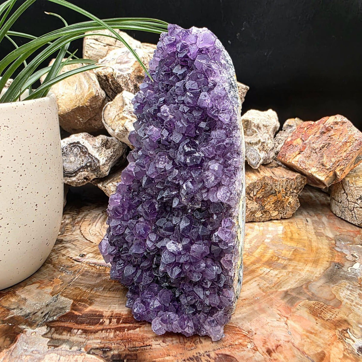 Large Amethyst Crystal Geode Cutbase | Freestanding Crystal Display | ACB1