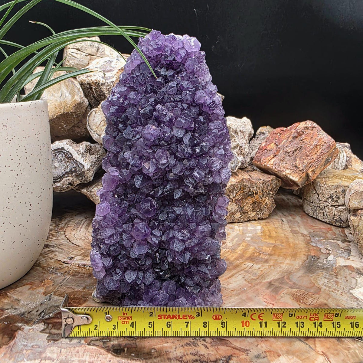 Large Amethyst Crystal Geode Cutbase | Freestanding Crystal Display | ACB1