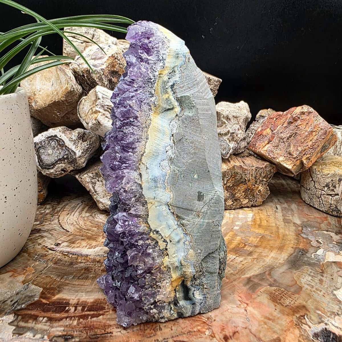 Large Amethyst Crystal Geode Cutbase | Freestanding Crystal Display | ACB1