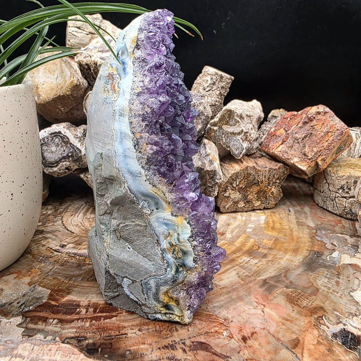 Large Amethyst Crystal Geode Cutbase | Freestanding Crystal Display | ACB1