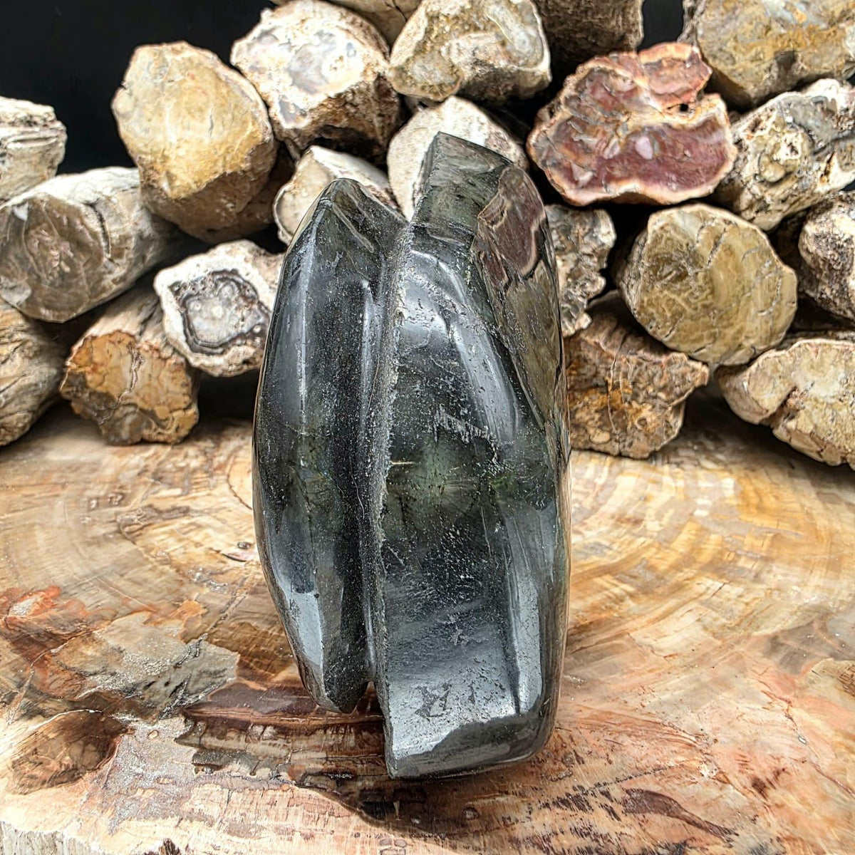 Labradorite Skull Freeform Crystal Carving | 1.8kg Unique Home Decor