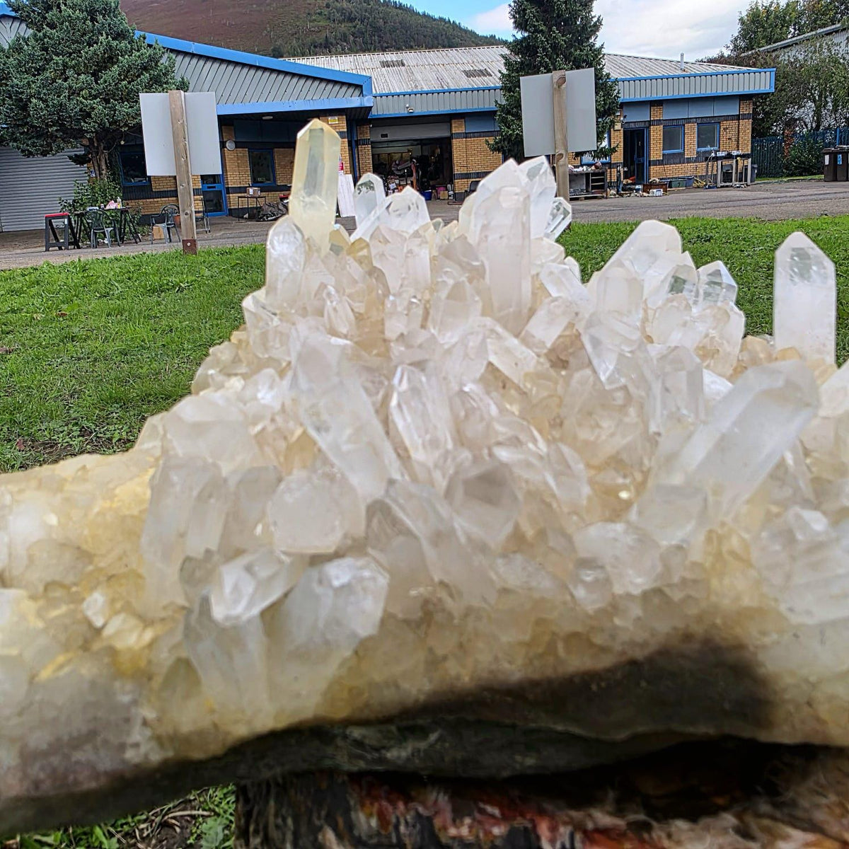 XL Clear Quartz Crystal Cluster | 10.3kg | Large Statement Crystal Home Decor