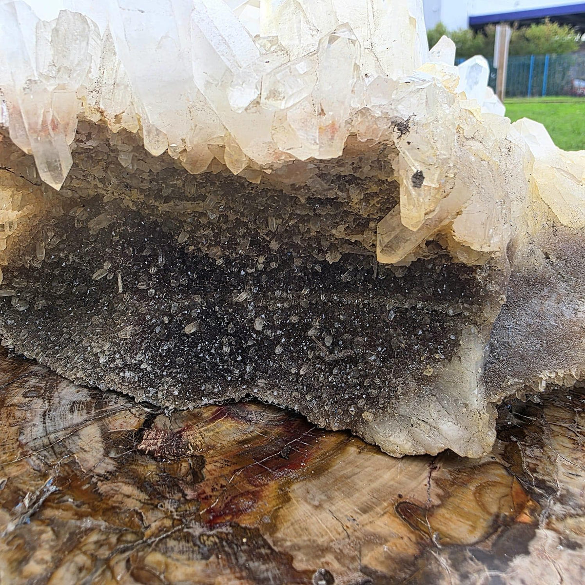XL Clear Quartz Crystal Cluster | 10.3kg | Large Statement Crystal Home Decor