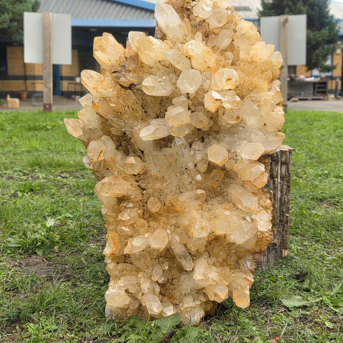XXL Golden Healer Quartz Crystal Cluster | LargeNatural Quartz Collector Specimen | 26.7kg