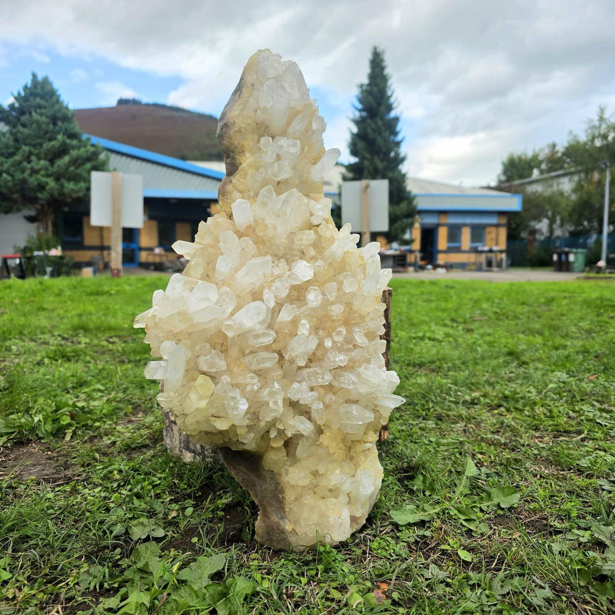 XL Clear Quartz Crystal Cluster | 10.3kg | Large Statement Crystal Home Decor