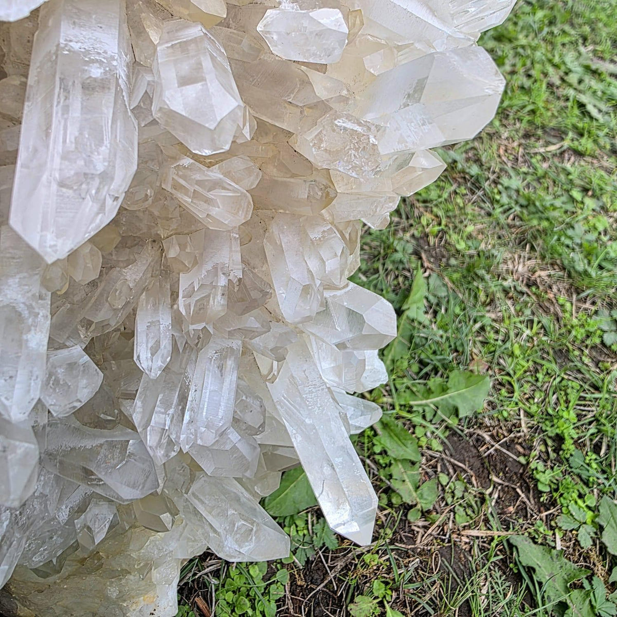 XL Clear Quartz Crystal Cluster | 10.3kg | Large Statement Crystal Home Decor