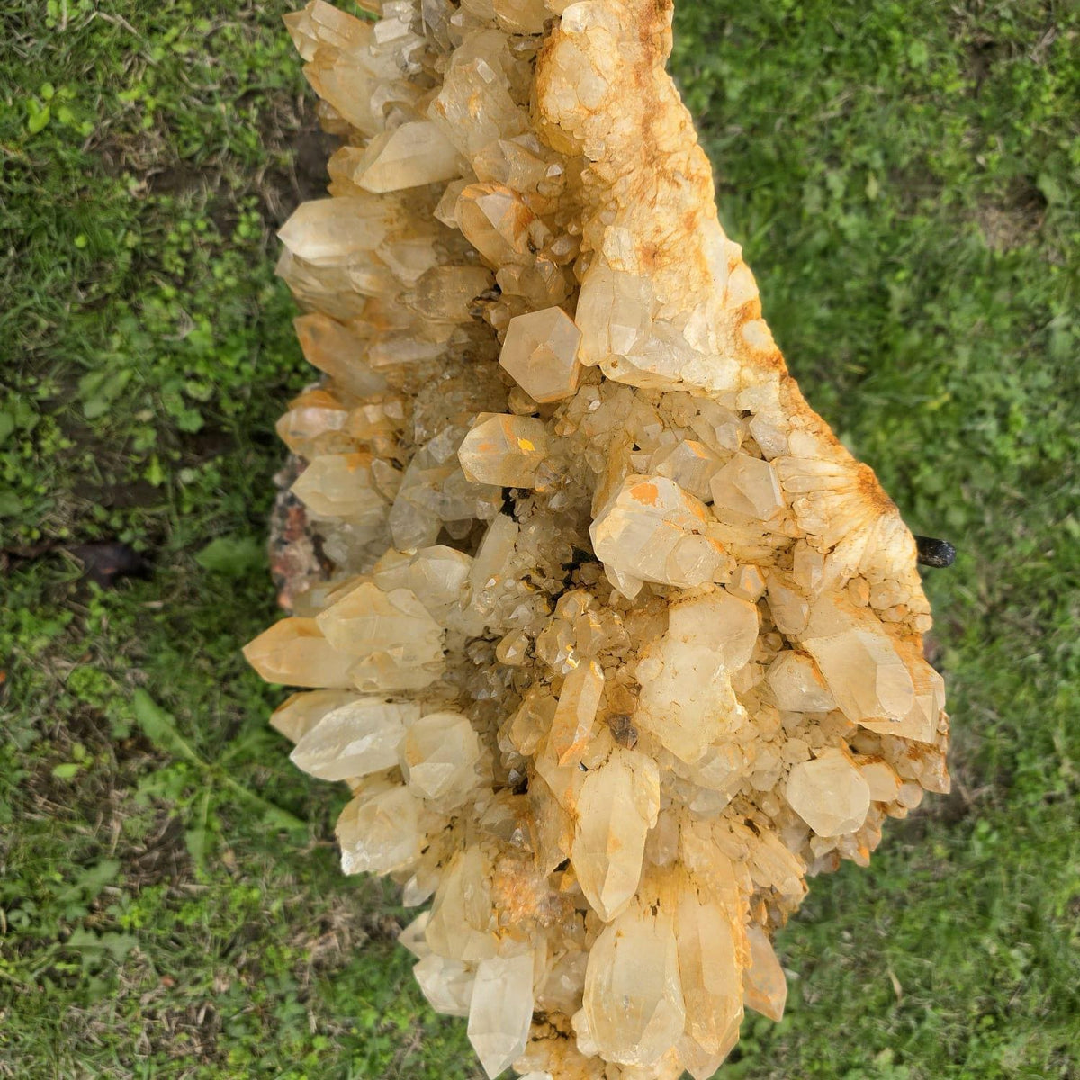XXL Golden Healer Quartz Crystal Cluster | LargeNatural Quartz Collector Specimen | 26.7kg