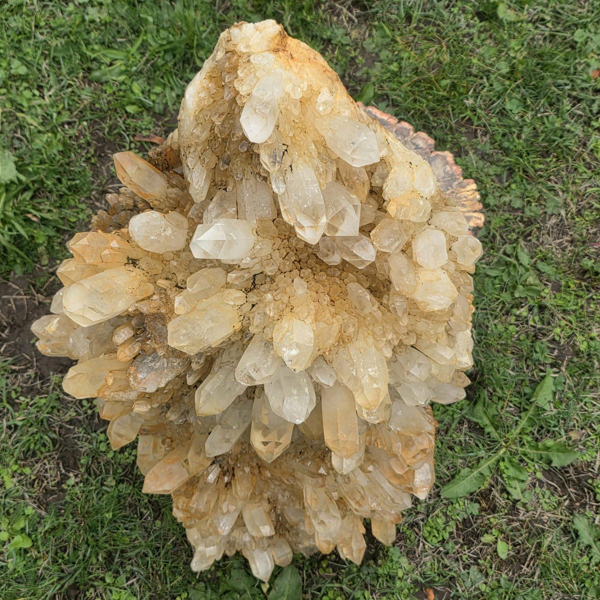 XXL Golden Healer Quartz Crystal Cluster | LargeNatural Quartz Collector Specimen | 26.7kg