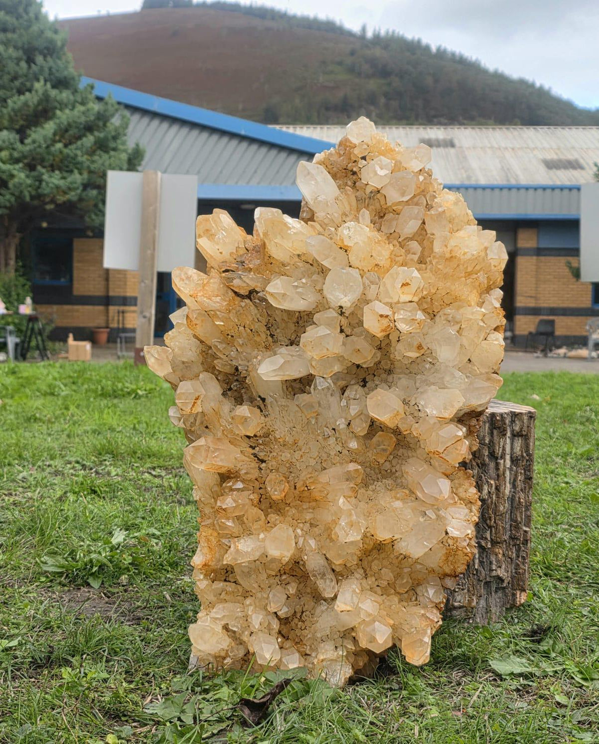 XXL Golden Healer Quartz Crystal Cluster | LargeNatural Quartz Collector Specimen | 26.7kg