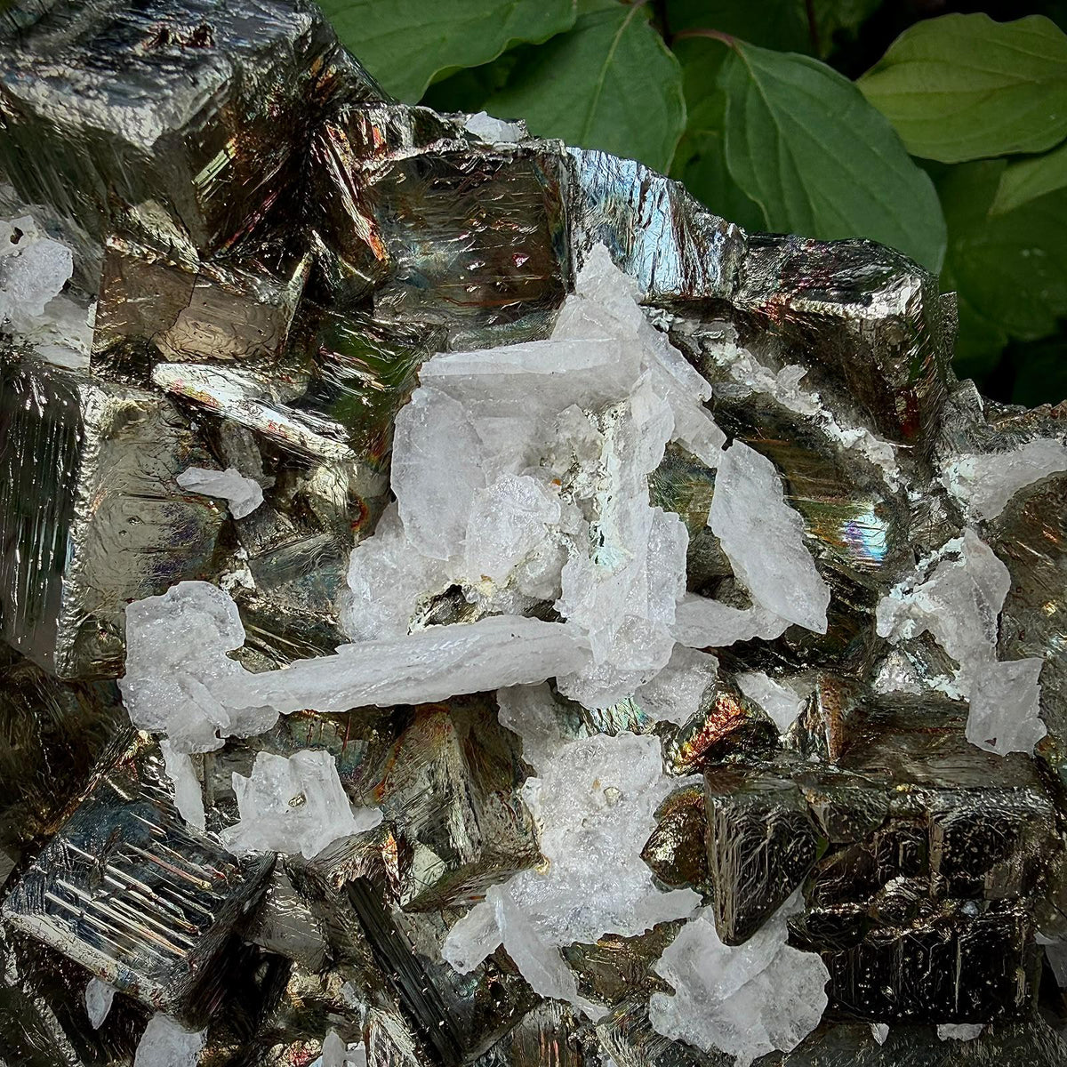 XL Cubic Pyrite with Mangano Calcite Crystal | UV Fluorescent Collector Specimen | 8.51kg