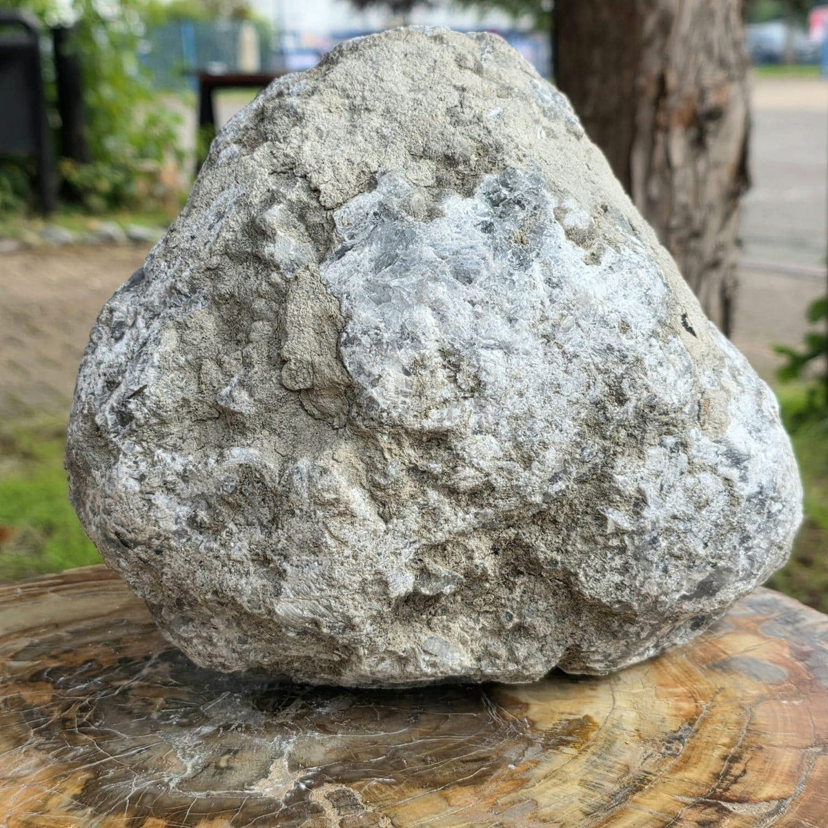 XL Celestite Crystal Geode | 8.84kg Natural Celestine Mineral Specimen