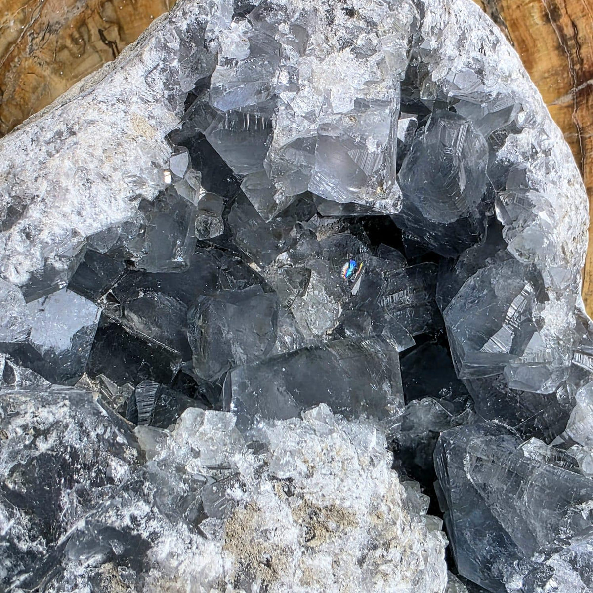 XL Celestite Crystal Geode | 8.84kg Natural Celestine Mineral Specimen