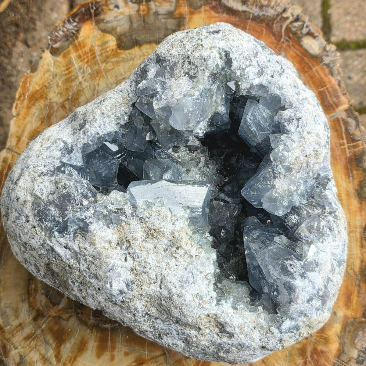 XL Celestite Crystal Geode | 8.84kg Natural Celestine Mineral Specimen