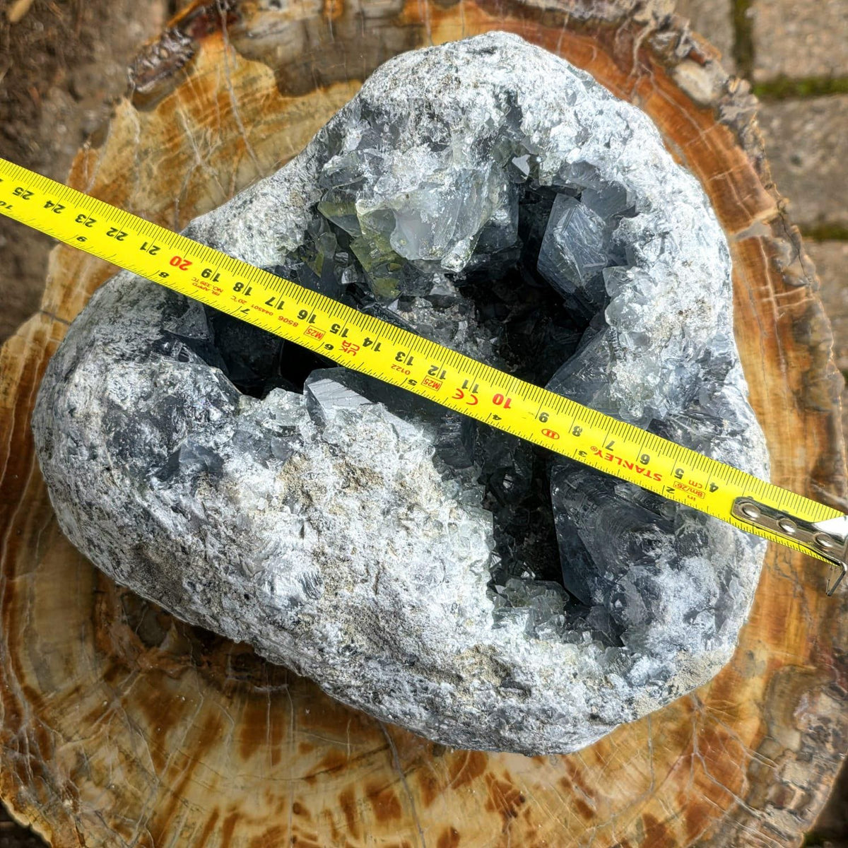 XL Celestite Crystal Geode | 8.84kg Natural Celestine Mineral Specimen