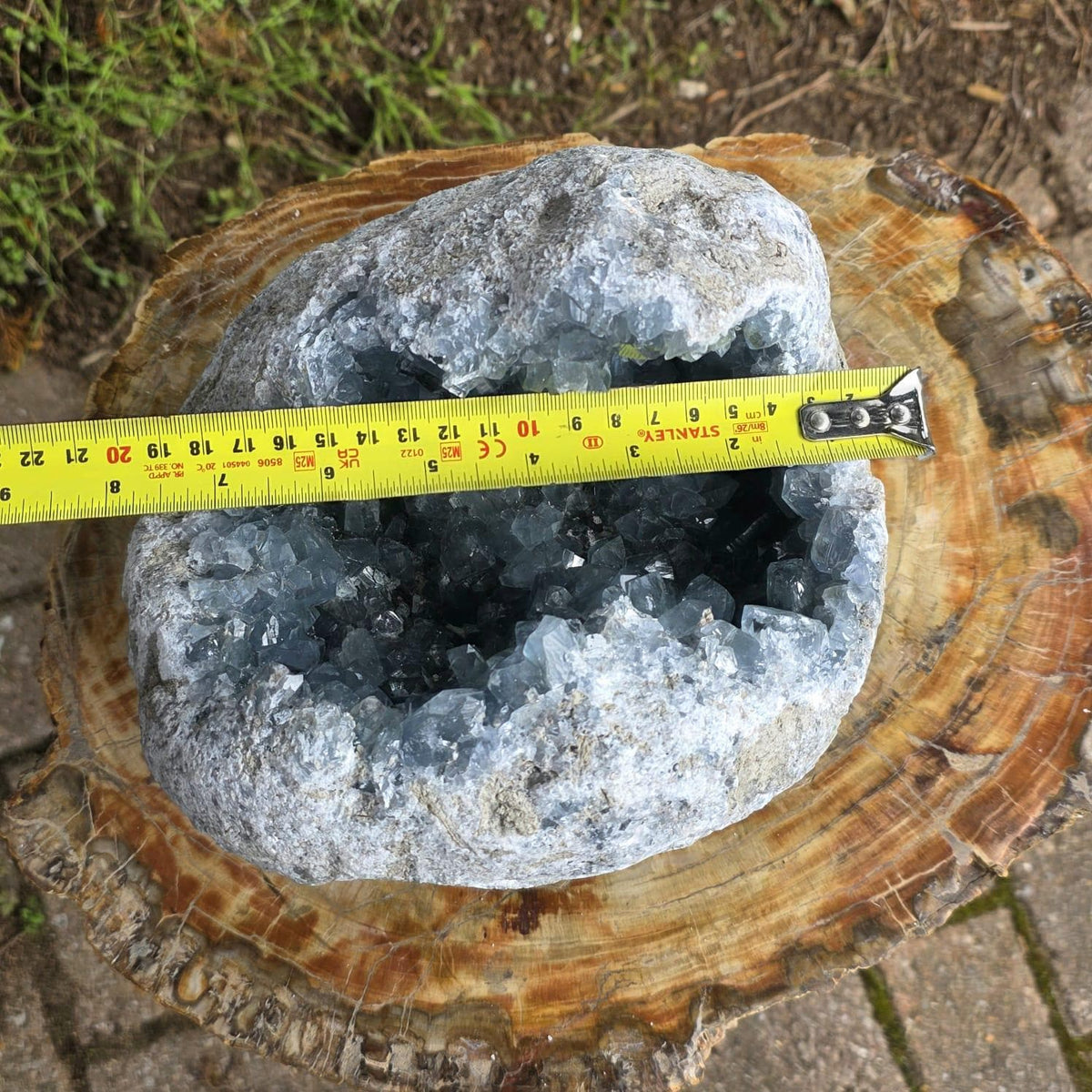 XL Celestite Crystal Geode | 8.69kg Natural Celestine Mineral Specimen