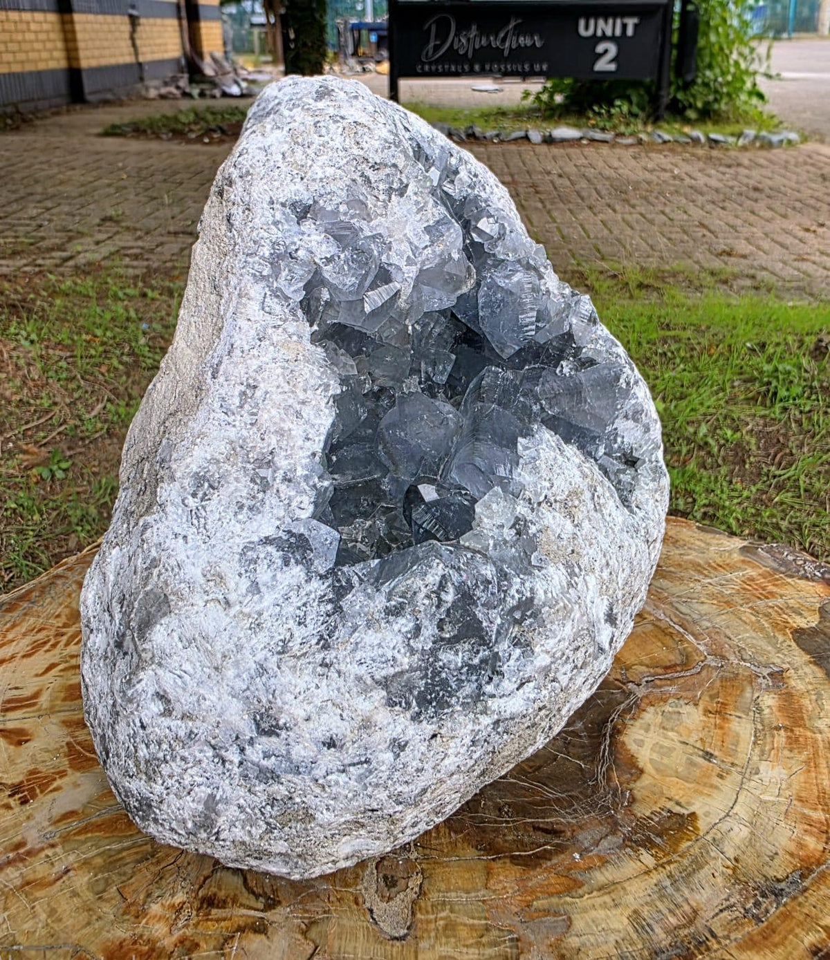 XL Celestite Crystal Geode | 8.84kg Natural Celestine Mineral Specimen