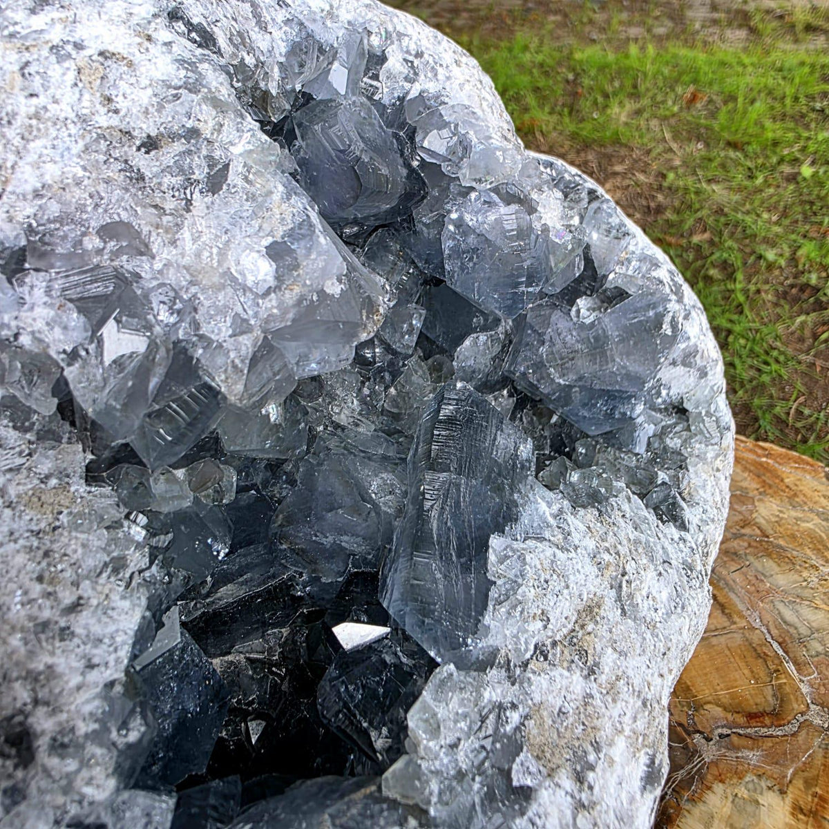XL Celestite Crystal Geode | 8.84kg Natural Celestine Mineral Specimen