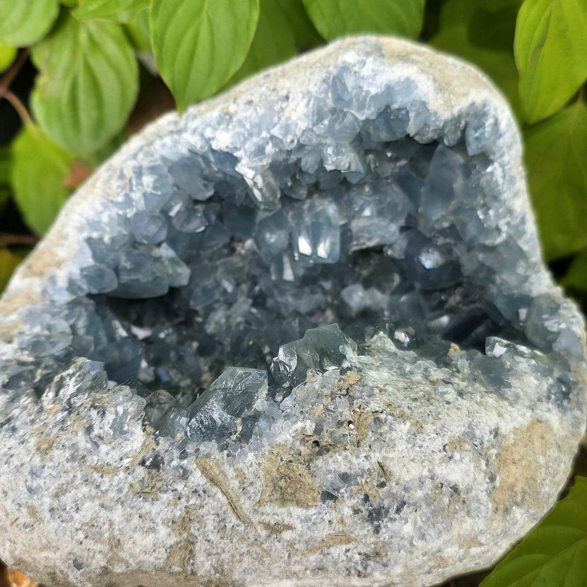 XL Celestite Crystal Geode | 8.69kg Natural Celestine Mineral Specimen