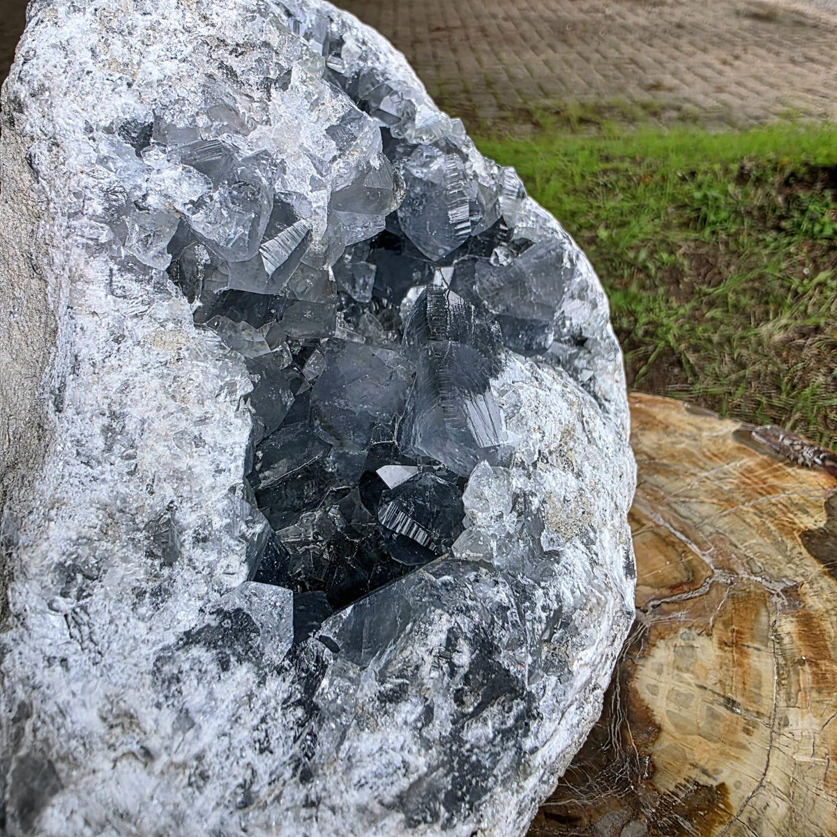 XL Celestite Crystal Geode | 8.84kg Natural Celestine Mineral Specimen