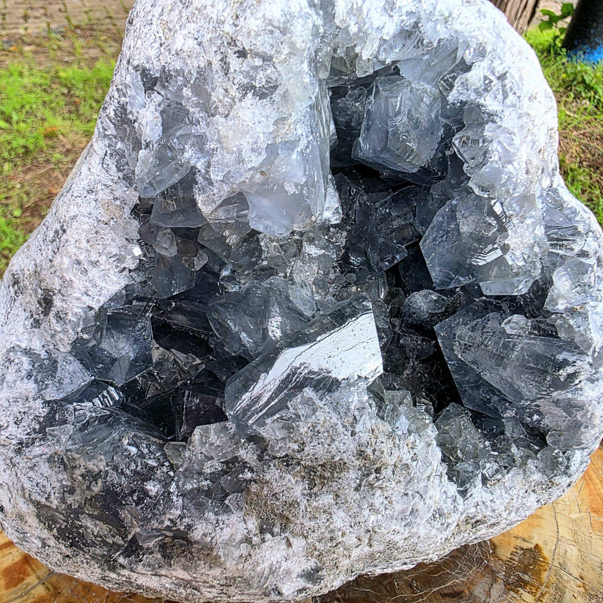 XL Celestite Crystal Geode | 8.84kg Natural Celestine Mineral Specimen