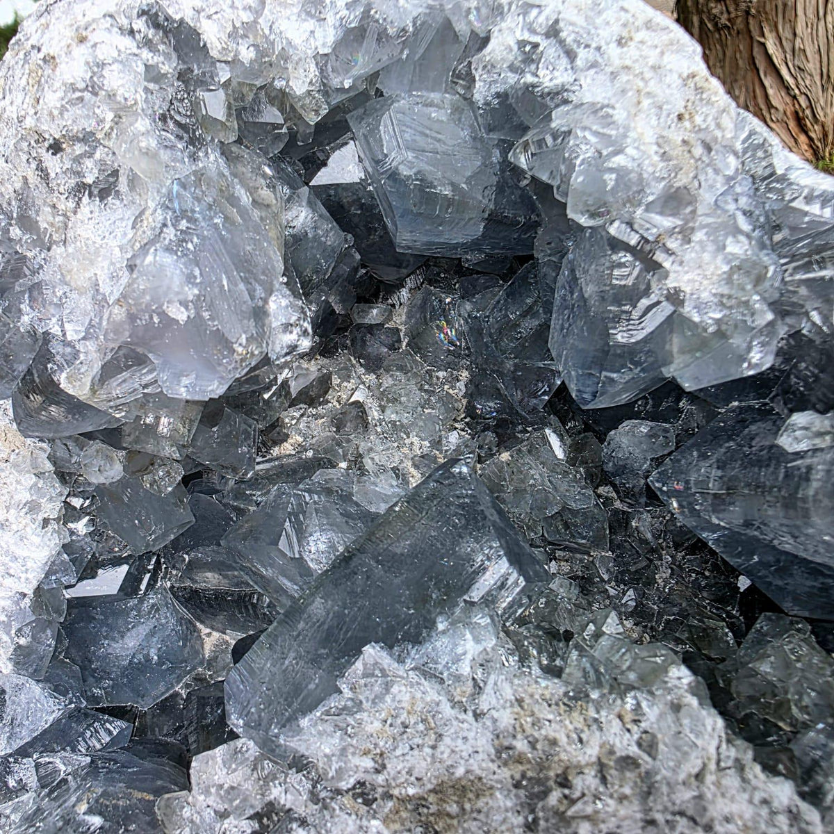 XL Celestite Crystal Geode | 8.84kg Natural Celestine Mineral Specimen