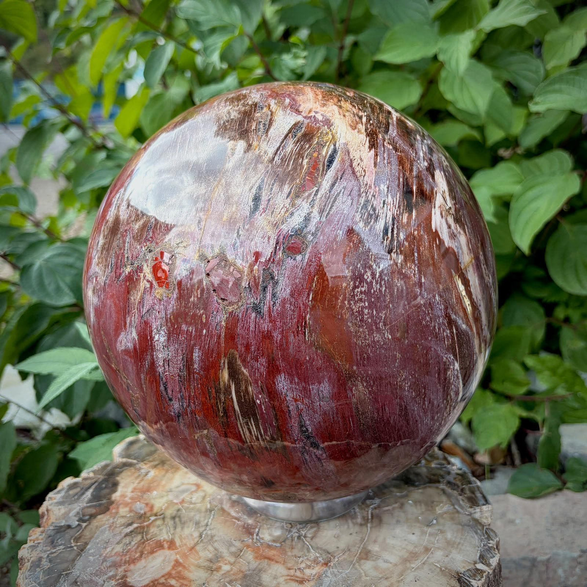 XL Petrified Wood Sphere | 14.48kg Red Fossil Wood | Statement Mineral Specimen