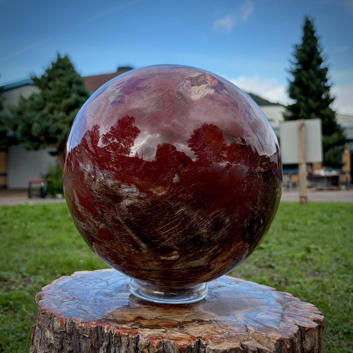 XL Petrified Wood Sphere | 14.48kg Red Fossil Wood | Statement Mineral Specimen