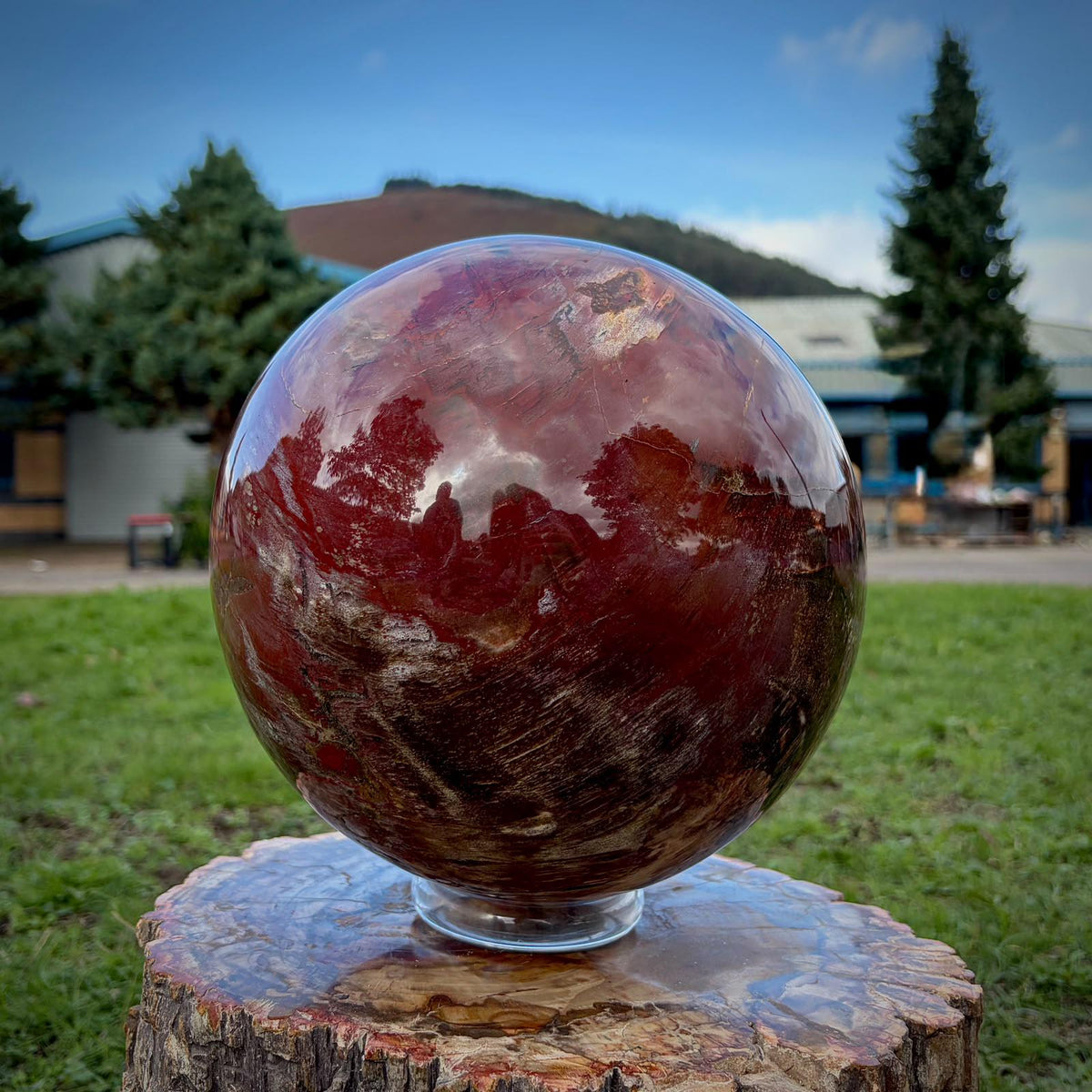 XL Petrified Wood Sphere | 14.48kg Red Fossil Wood | Statement Mineral Specimen