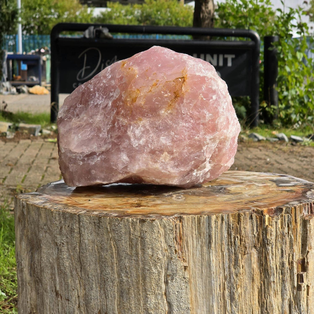 XL Raw Rose Quartz Crystal Rough Natural | 10.3kg