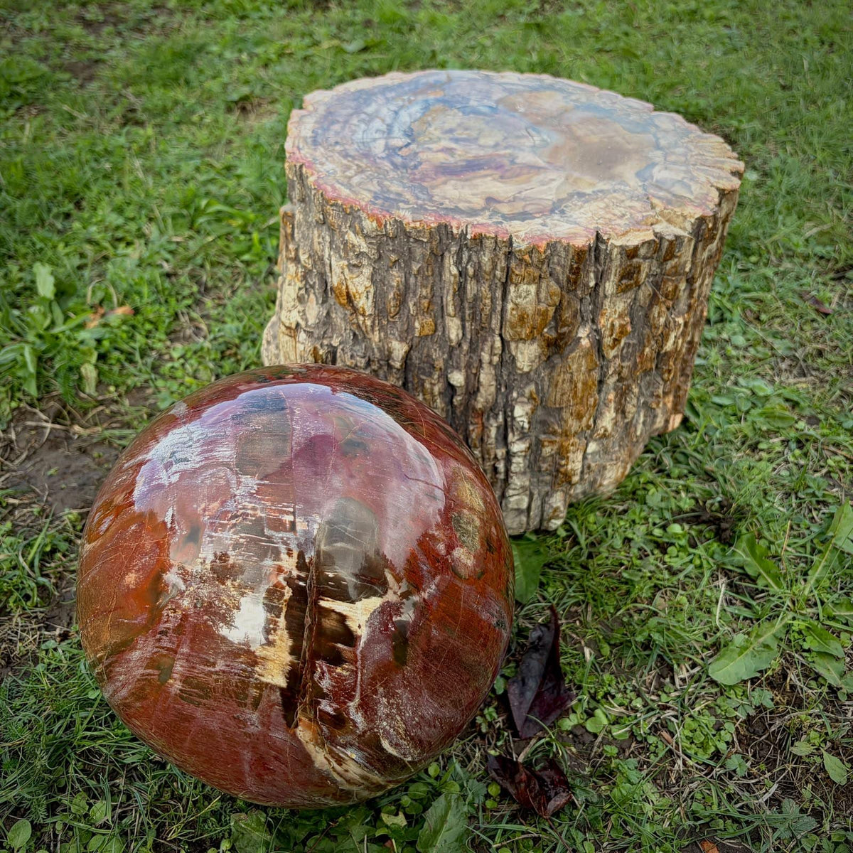 XL Petrified Wood Sphere | 14.48kg Red Fossil Wood | Statement Mineral Specimen