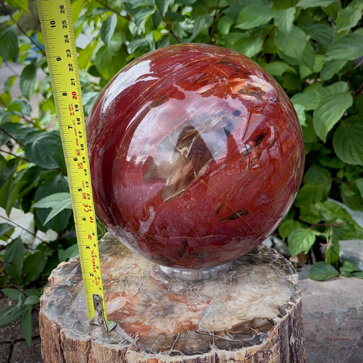 XL Petrified Wood Sphere | 14.48kg Red Fossil Wood | Statement Mineral Specimen