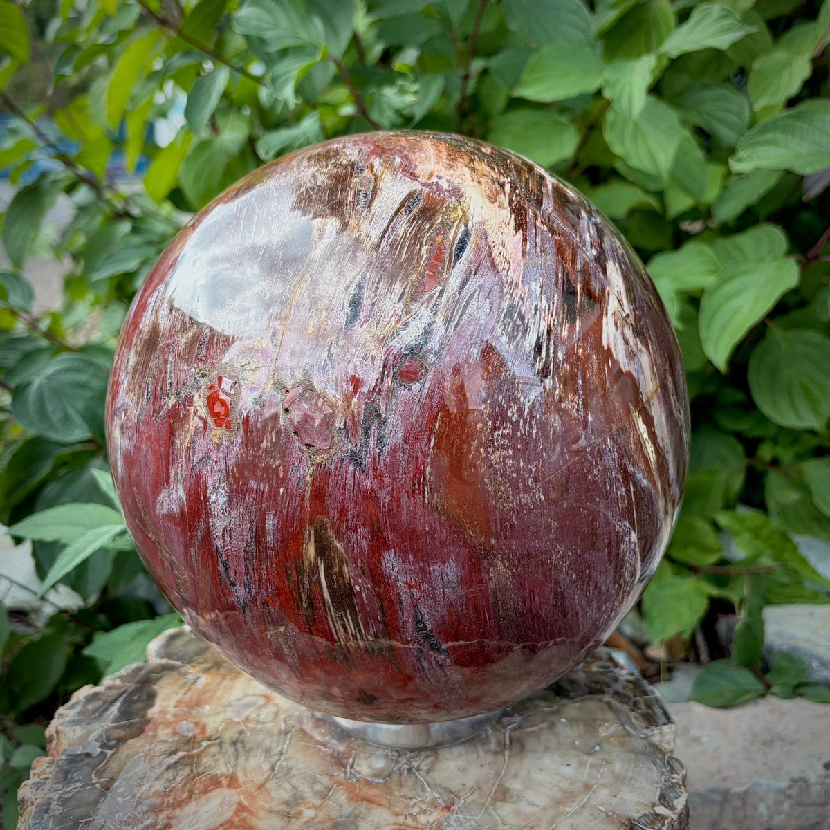 XL Petrified Wood Sphere | 14.48kg Red Fossil Wood | Statement Mineral Specimen